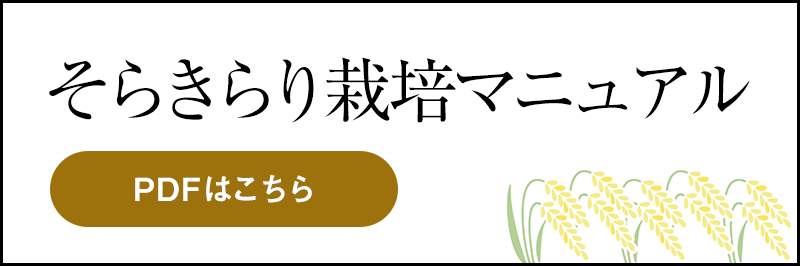 そらきらり栽培マニュアルをPDFで見る