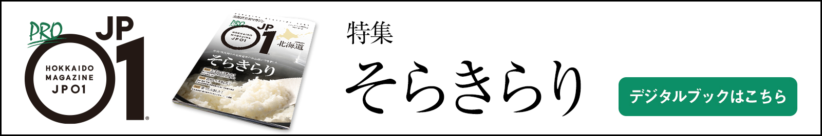 JP01そらきらり